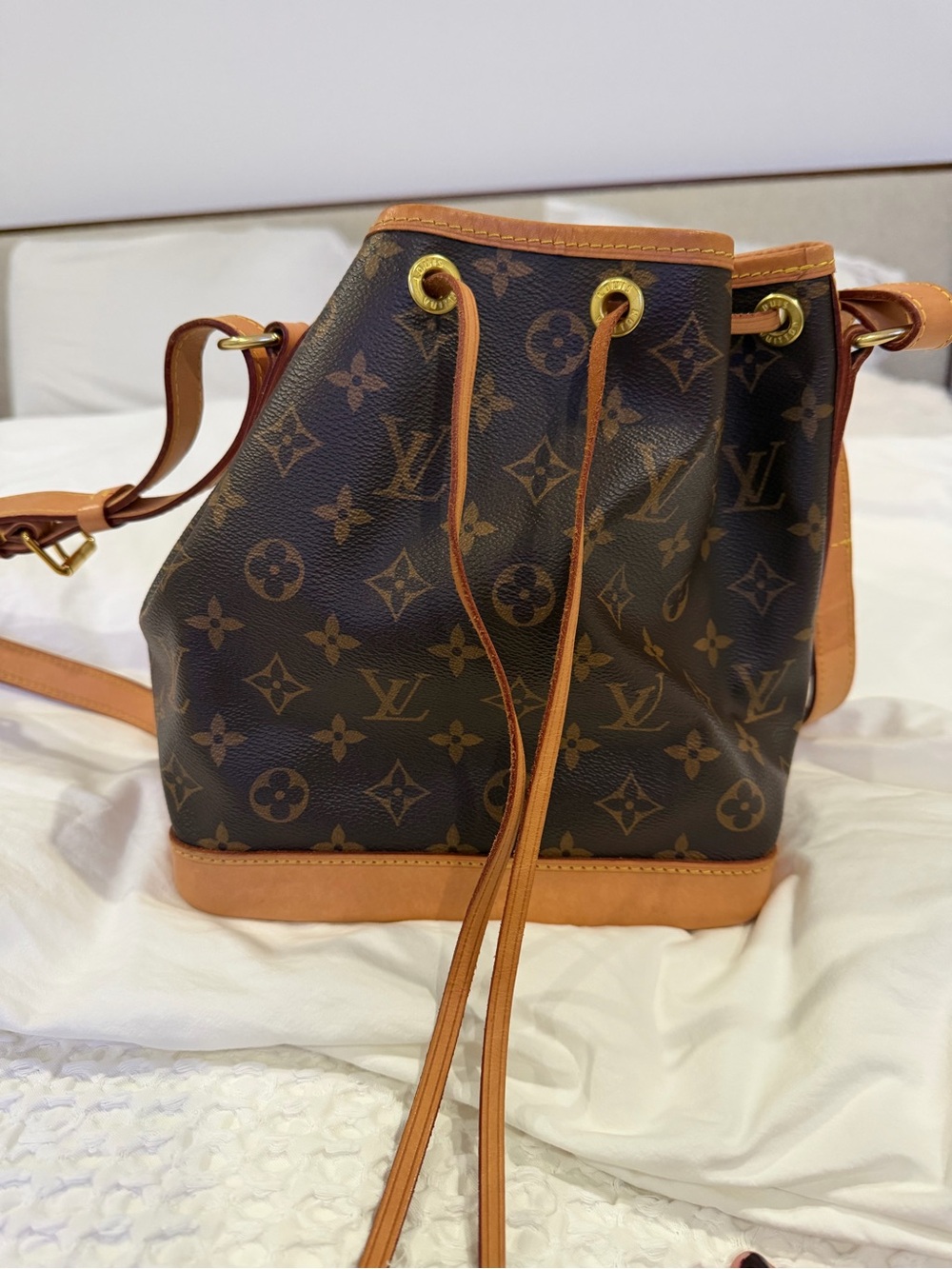 Louis Vuitton Monogram Canvas Noe  Bucket Bag in Brown and Tan